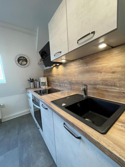 Komfortable Ferienwohnung In Halle-Kroellwitz ハレ エクステリア 写真