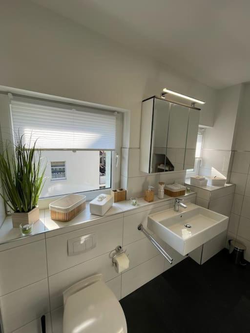 Komfortable Ferienwohnung In Halle-Kroellwitz ハレ エクステリア 写真