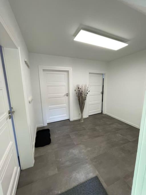 Komfortable Ferienwohnung In Halle-Kroellwitz ハレ エクステリア 写真